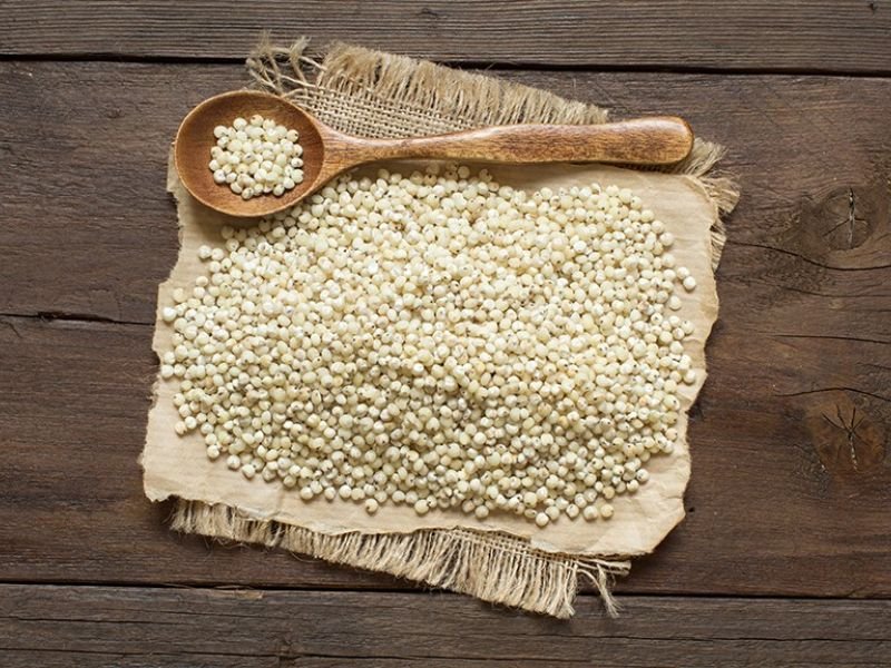 El Sorgo